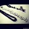 ������ ������� Mo Gamal